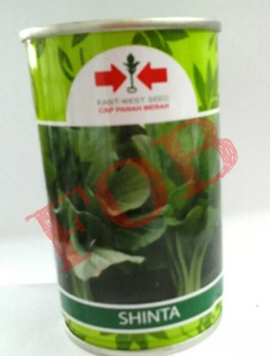 Benih Panah Merah Sawi Shinta 100gr