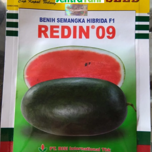 Benih Semangka Hibrida F1 Redin 09 10 Gr