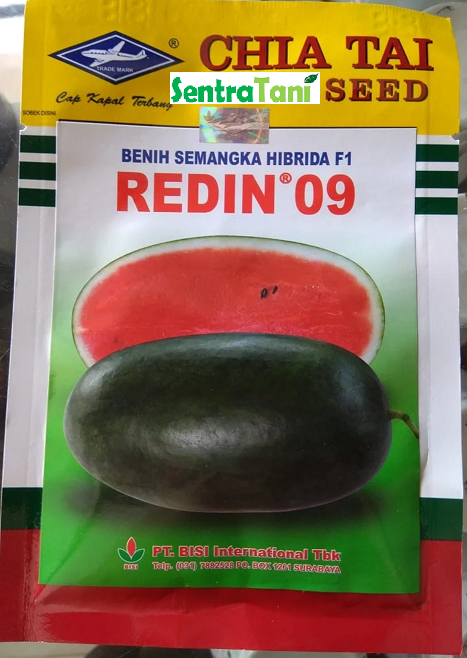 Benih Semangka Hibrida F1 Redin 09 10 Gr