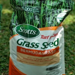 Biji Rumput Lapangan Sepak Bola 1 kg