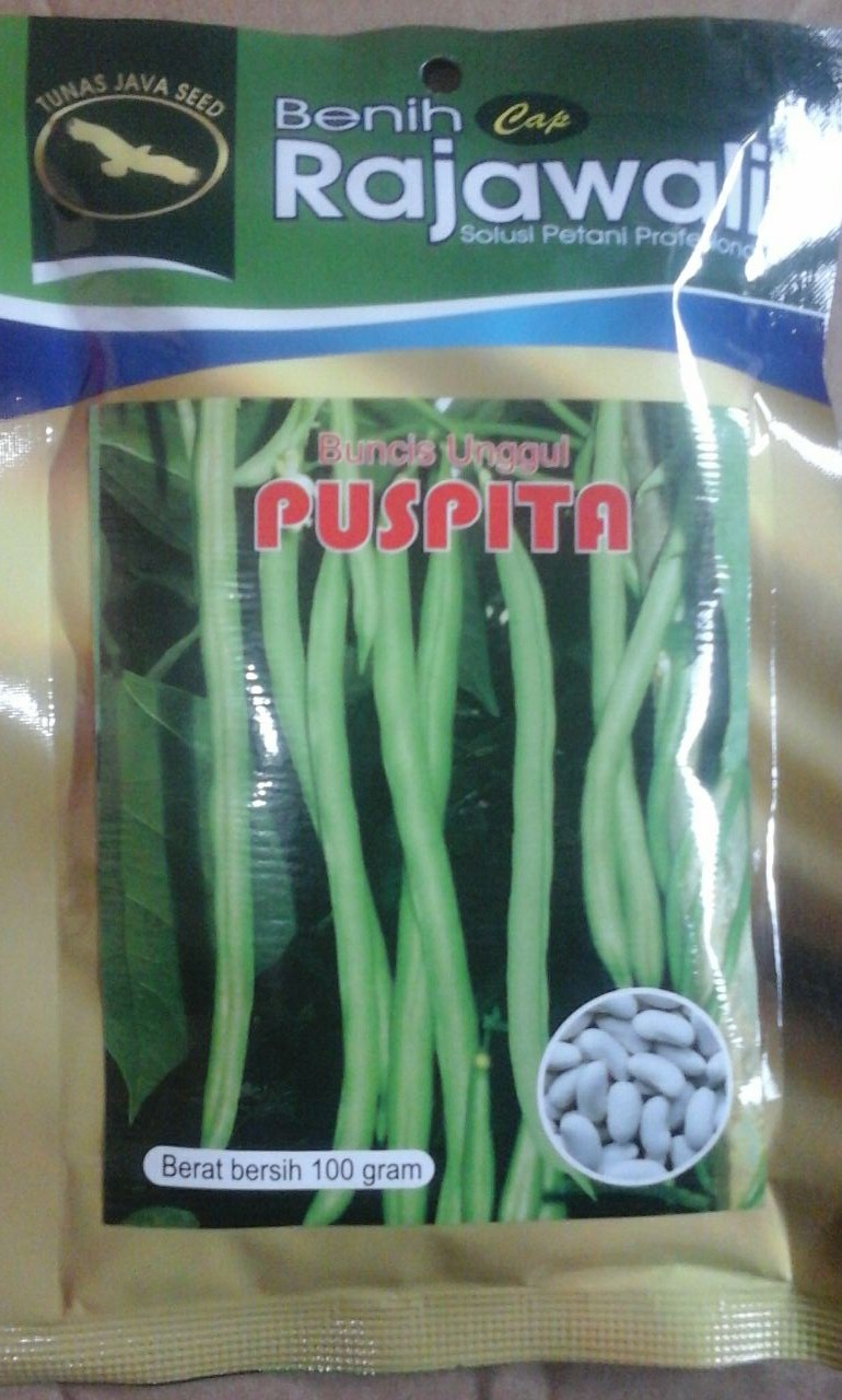 Buncis Puspita 100g