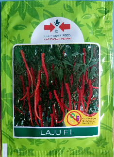 Cabe Merah Keriting Hibrida LAJU F1