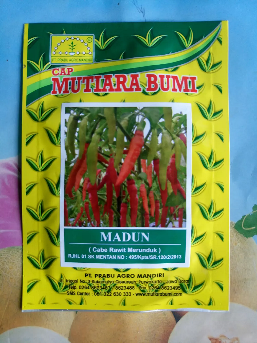 Cabe Rawit Putih Merunduk MADUN 10gr