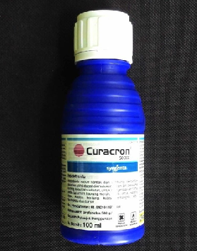 CURACRON Obat Pembasmi Hama Kutu Putih 100 ml