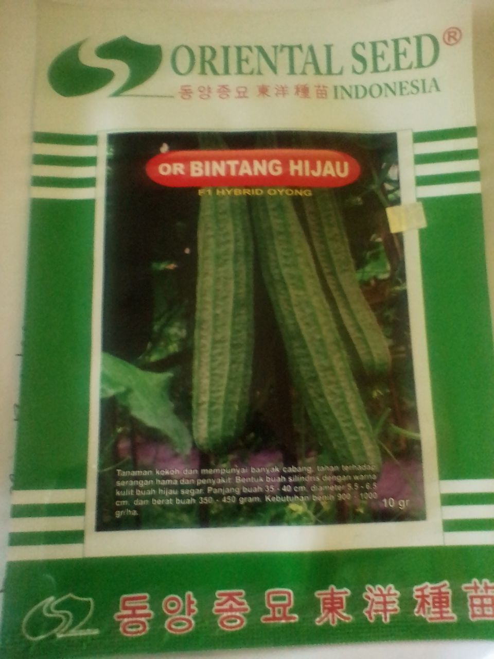 Oyong / Gambas Or Bintang Hijau F1