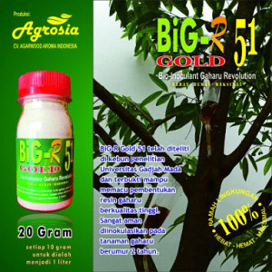 Inokulan Gaharu - Untuk Inokulasi Pohon Gaharu