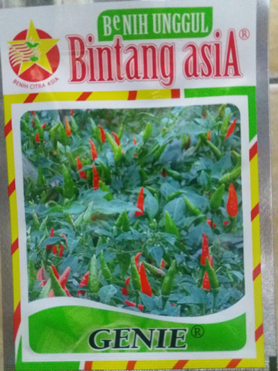 Jual Benih/bibit Cabe Rawit Hijau Genie (Bintang Asia)  SENTRATANI.COM