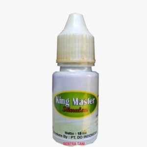 King Master Stimulan