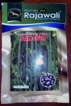 Kacang Panjang SADEWA