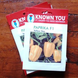 Paprika Kuning - Paprika F1 Yellow Star 15s