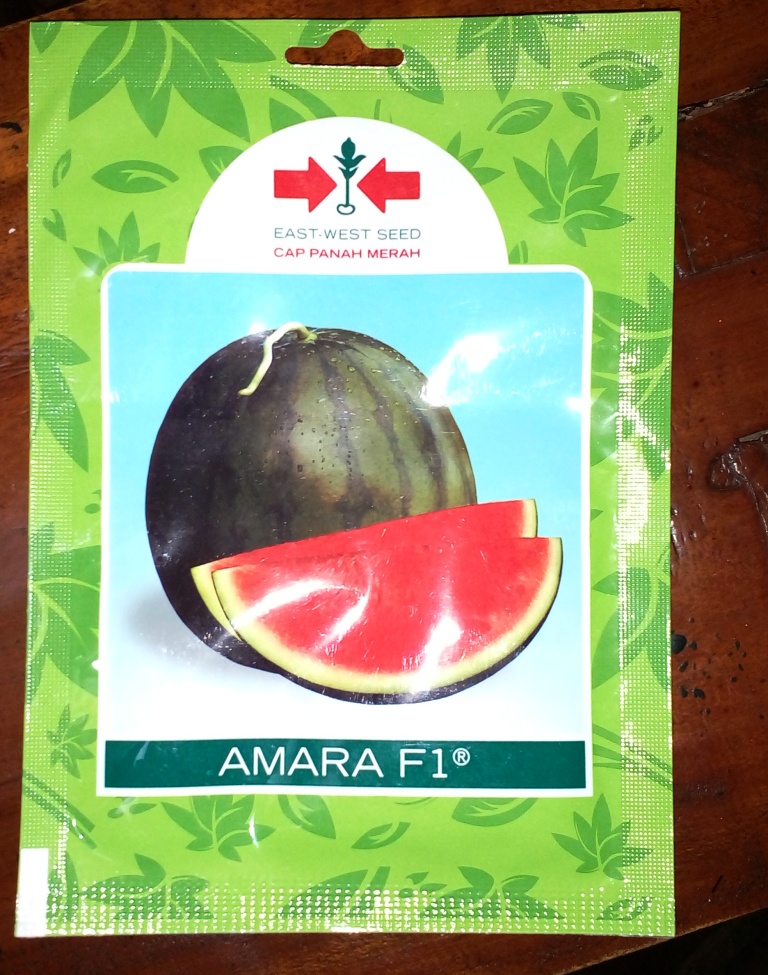 Semangka Tanpa Biji AMARA F1