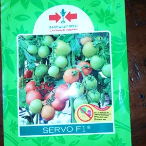 Tomat SERVO F1 1.750 S