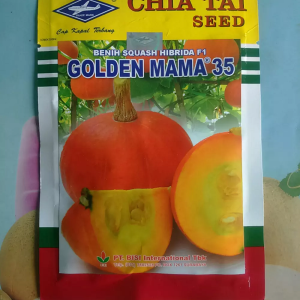 Labu Mini GOLDEN MAMA 35