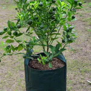 Planter Bag 25 Liter