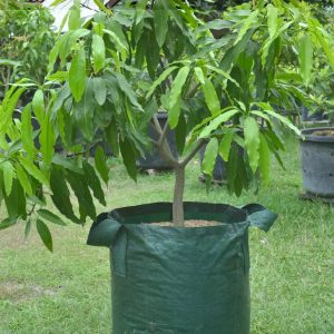 Planter Bag 75 Liter