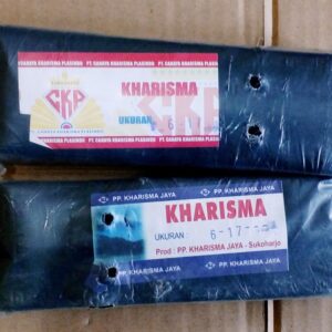 Polybag 12x17 1 kg