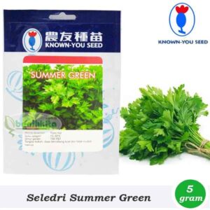 Seledri Summer Green 5 gr