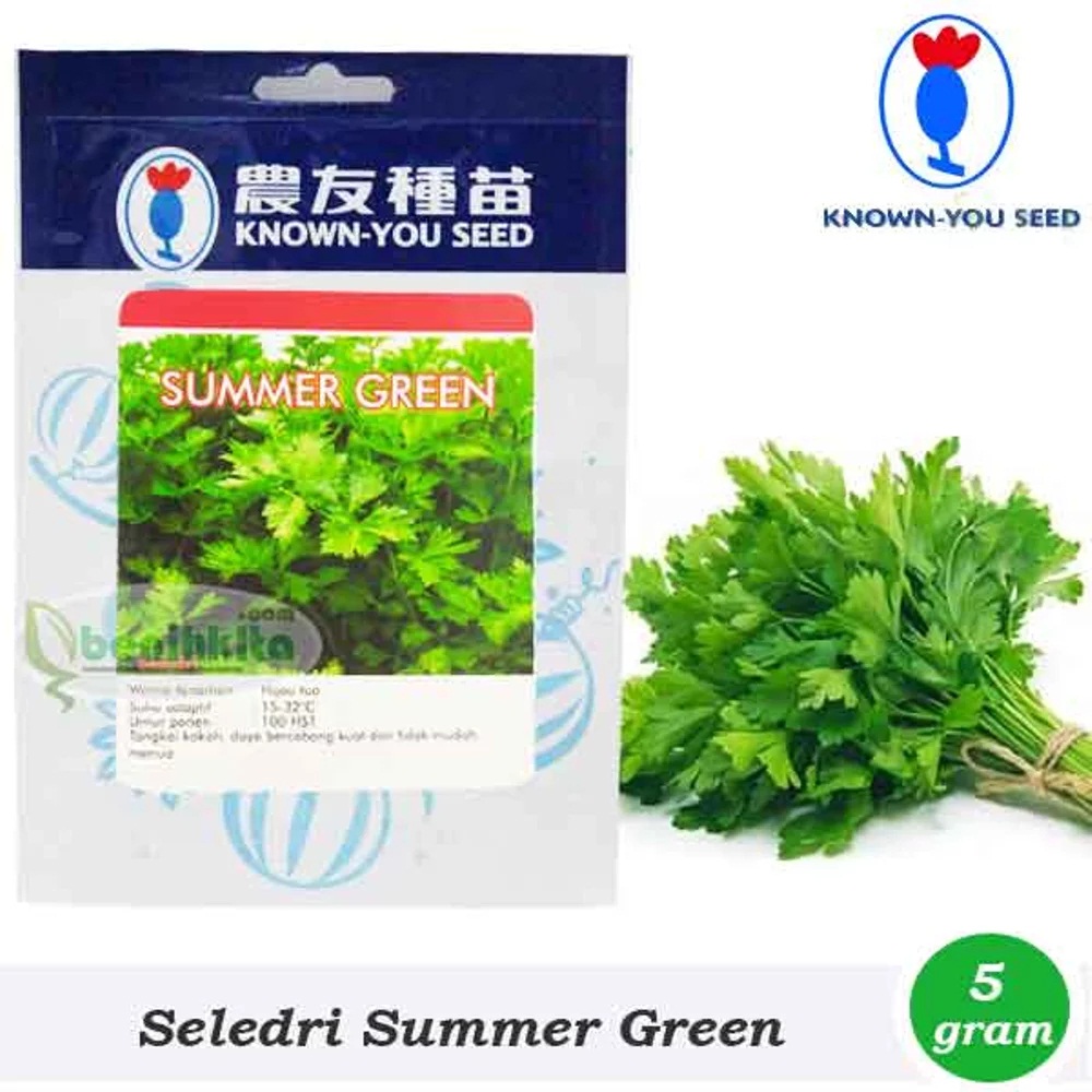 Seledri Summer Green 5 gr