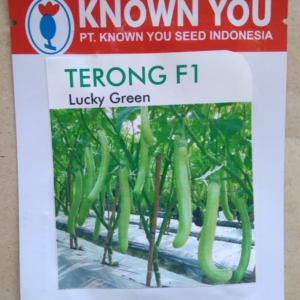Terong Lucky Green