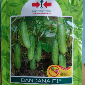 Benih Timun Bandana F1 800 Biji