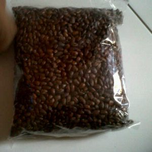 Benih Pohon Trembesi 1kg