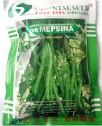 Buncis Mepsina 500g