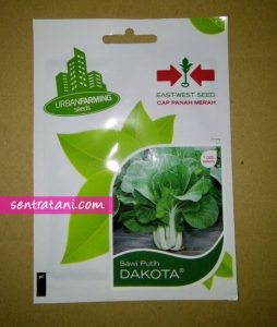 Sawi Putih DAKOTA