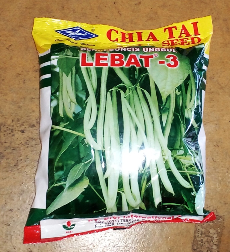 Buncis Lebat 3