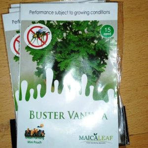 BUSTER VANILLA Tanaman Anti Nyamuk 15s