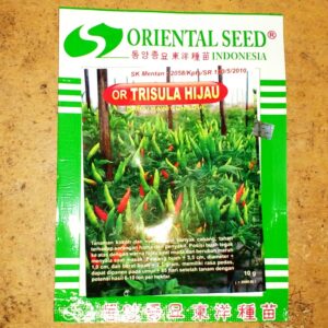 Jual Bibit Cabe  0856 0856 6034 SENTRATANI COM