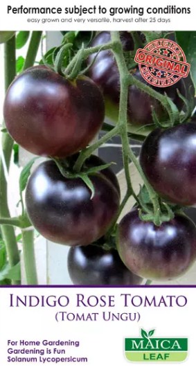 Indigo Rose Tomato Maicaleaf 20s
