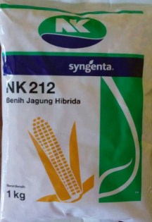 Jagung Hibrida NK 212