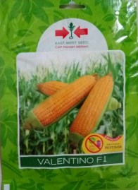 Jagung Manis Valentino F1 200s