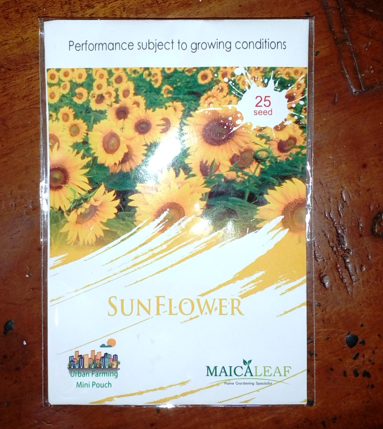 Bunga Matahari 25s Maica Leaf