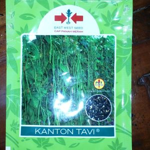 Kacang Panjang Kanton Tavi 200s