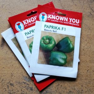 Paprika Hijau - Paprika F1 Beauty Bell 15s