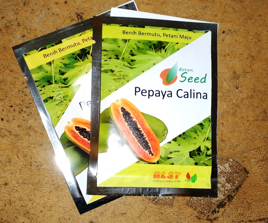 Benih Pepaya Calina IPB9 Isi 30 Biji