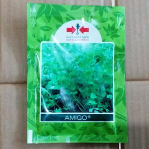 Seledri AMIGO 10.000s