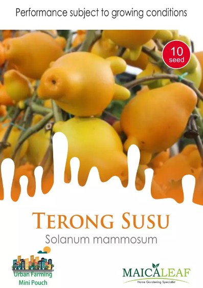Terong Susu Maicaleaf 10s