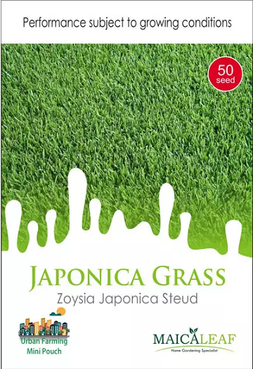 Bibit Rumput Jepang - Maica Leaf Zoysia Japonica 50s