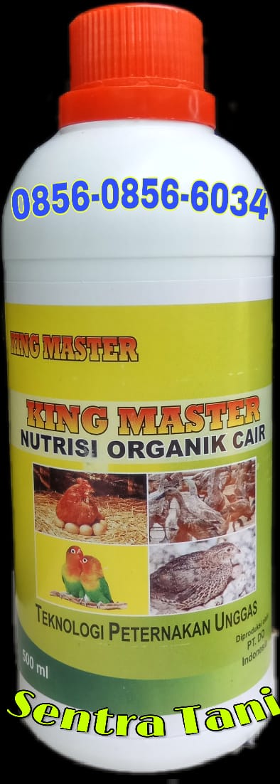 King Master Unggas Petelur - Pengganti AGP