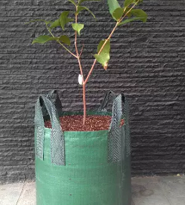 Planter Bag 100 Liter