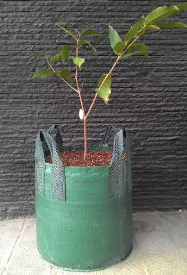 Planter Bag 100 Liter