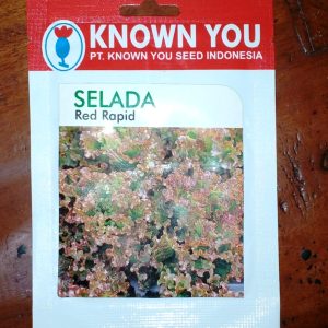 Selada Red Rapid 5g