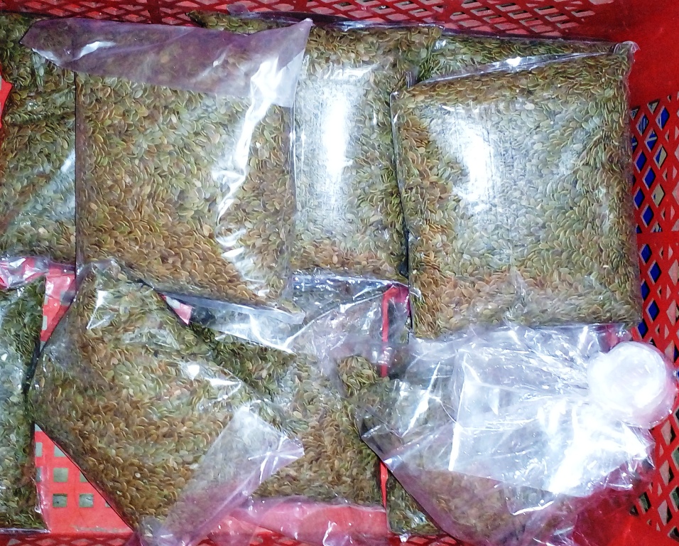 Sengon Laut 500 gram