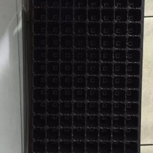 Tray Semai 128 Lubang