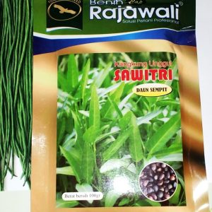 Kangkung Unggul SAWITRI