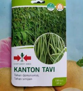 Kacang Panjang Kanton Tavi 150s