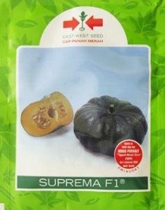 Labu SUPREMA F1 95s