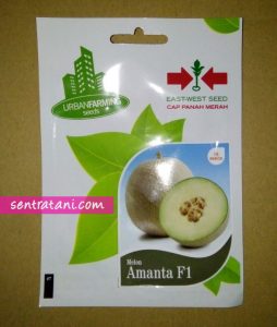 Melon Amanta F1 15s